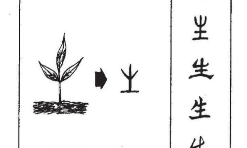 甲减的症状与危害女性-【甲减的症状与危害女性】甲减的表现症状和危害 - 甲减的症状表现治疗方法网